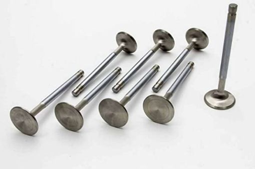 Bild von Manley Chevy LS - 1LS - 2 (LS - 6) Head Small Block Severe DutyPro Flo Hollow Intake Valves (Set of 8)