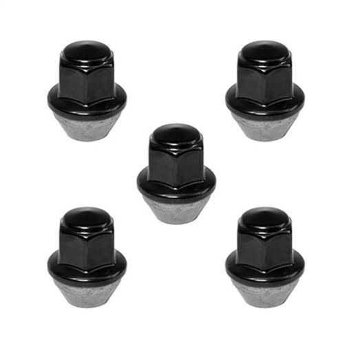 Bild von Ford Racing 15 - 17 Mustang Black Lug Nut Kit (5 Lug Nuts)