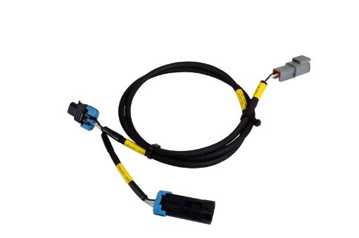 Bild von AEM CD - 7CD - 7L Plug and Play Adapter Harness for Holley EFI