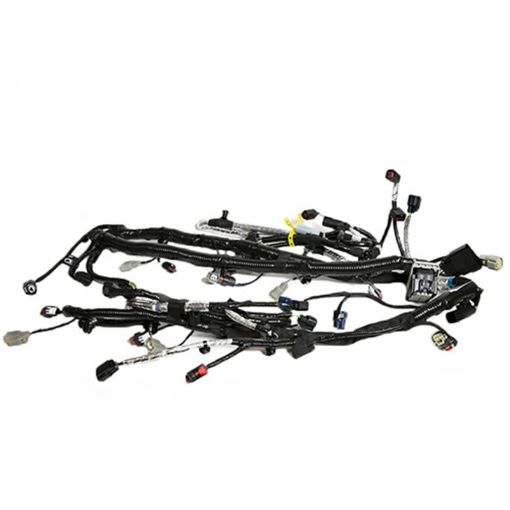 Bild von Ford Racing 5.0L Coyote Engine Harness for Automatic Transmission